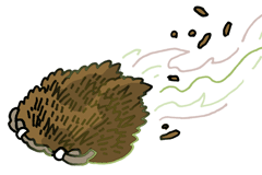 てんぐどんのみの 天狗殿の蓑
