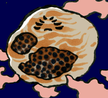 おおばちのす　胡蜂房