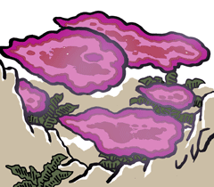 えんしょう　炎瘴