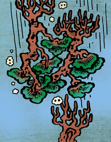 うぼく　雨木