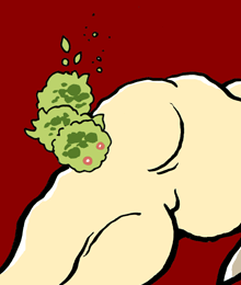 ぼけぼけぼけ　木瓜木瓜木瓜