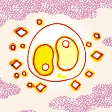 あめつちじんやく　天地腎薬