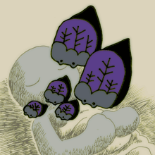 そあい　麁穢