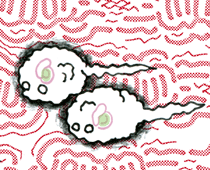 ごくていきゅうどうしょくぶつれい 極低級動植物霊