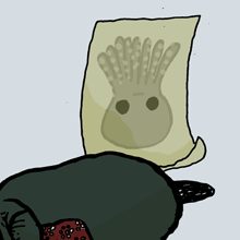 さかさだこ　逆章魚