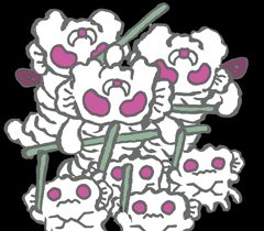 キキリパスシケ