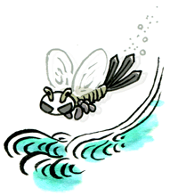 みずかじ　水蜉蝣