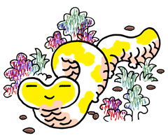 じんめんだ　人面蛇