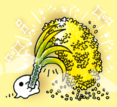 やえのいなほ　八重の稲穂