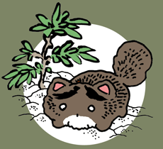 はちもんじ　八文字