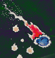 ながれぼしのひ　流れ星の火