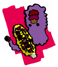 おだいしきび　お大師唐黍