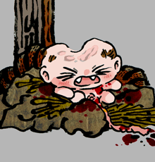 えんこうのこ　猿猴子