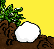 もちなげいし　餅投石