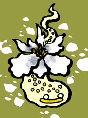 かわったもくれん　変わった木蘭