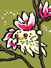 もくれんのはな　木蘭花