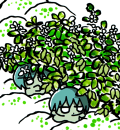 そねのえんどう　そねの豌豆