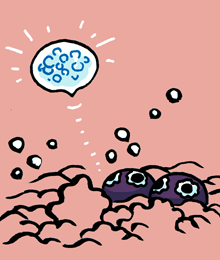 アミピトゥピサ　雨一粒