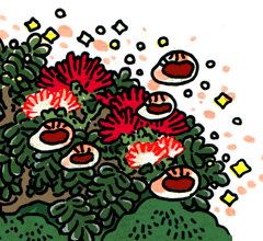 あかいねむのはな　赤い合歓の花