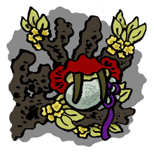 くろもじのえだ　黒文字の枝