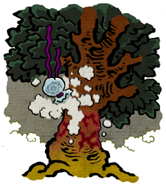 てんのき　天の木