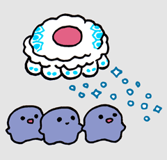 いんけい　陰恵