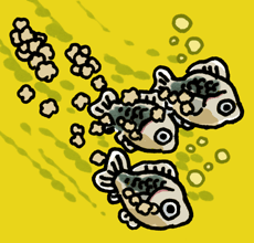 せき