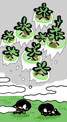 ははこなし　無母子