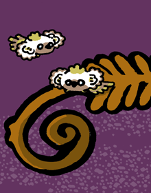 しょうりょう　鷦鷯