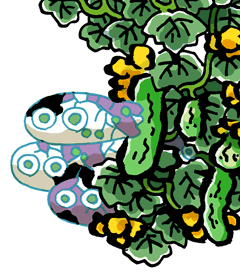 あくびょうがみ　悪病神