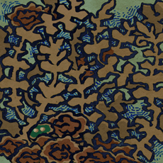 いなあらめ　棘荒布