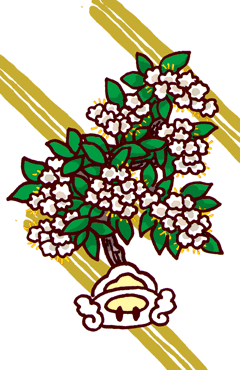 まりしてんのうつぎ　摩利支天の卯木