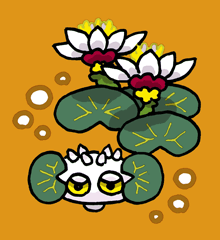 そけんじきゃげ　蘇乾地迦花