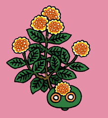 にばげ　尼婆花