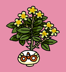 びらばげ　毘羅縛花