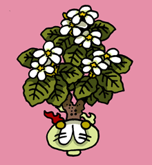 くたじゃげ　句托遮花