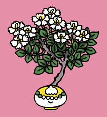 あじぼくとくきゃげ　阿底目得迦花