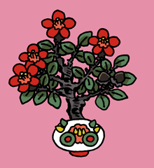 しゃばげ　遮婆花