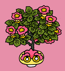 ろうきゃなげ　郎迦那花