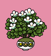 きやきゃげ　帰夜迦花