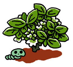 きつざい　吉財