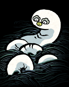 びゃくこう　白蛟