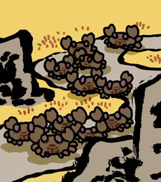 ぐんこうかい　軍行蟹