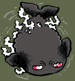 ばけくじら　化け鯨