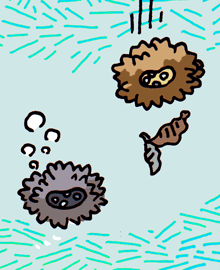 うにといが　海胆と栗毬