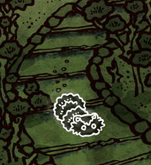 ついてくるたぬき　ついてくる狸