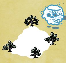 があっぱのとち　があっぱの土地