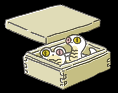 にちゅうのはこ　二虫箱