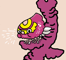 すけべどり　すけべ鳥