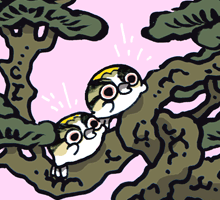 すけべどり 助平鳥